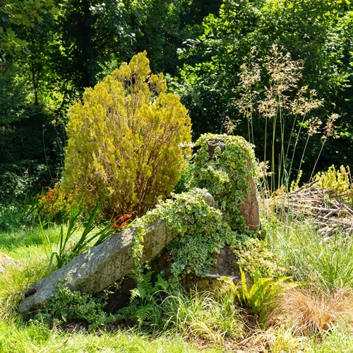 gallery image 17