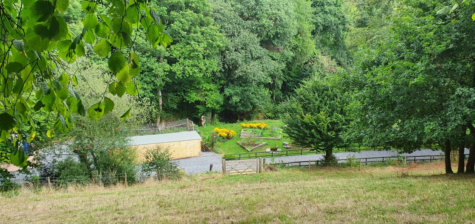 gallery image 8